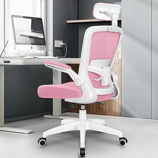 Ergonomic Office Chair, Headrest Desk Chair