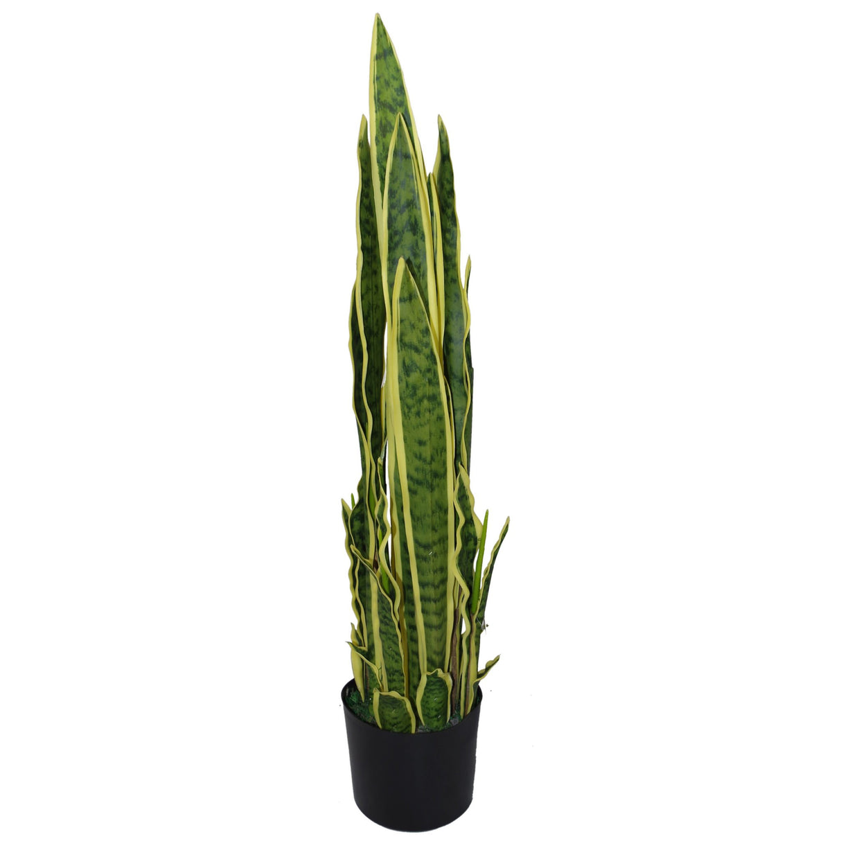 Artificial Tropical Snake Plant, 90cm Sansevieria