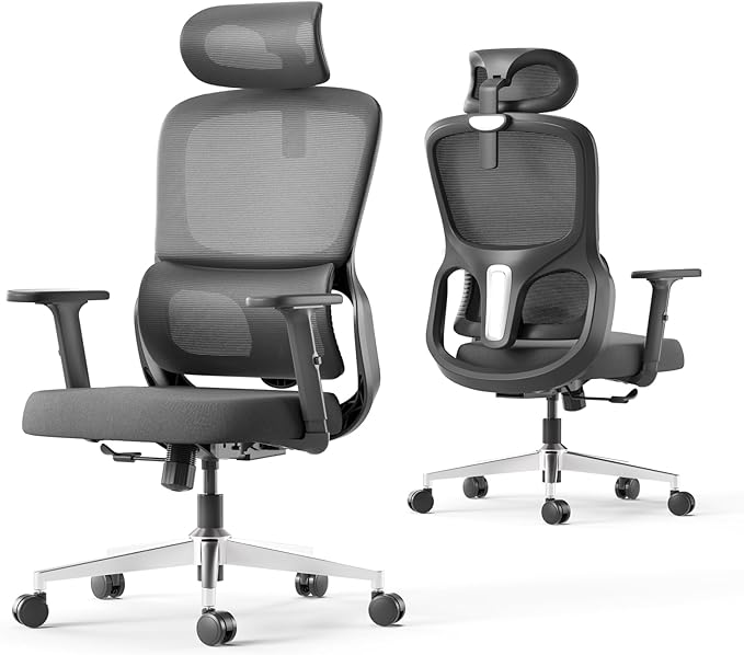 Office Chair, Ergonomic Office Chair with Adjustable Lumbar Support and Height, Comfortable