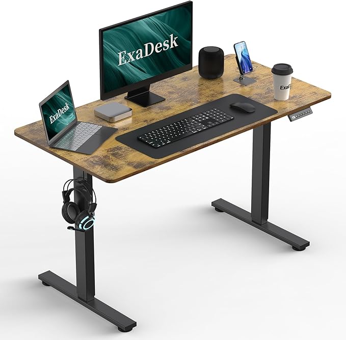 48 * 24 Inches Electric Standing Desk, Adjustable Height Sit Stand Up Desk with 3 Memory Presets