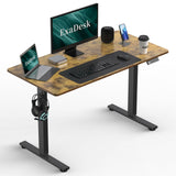 48 * 24 Inches Electric Standing Desk, Adjustable Height Sit Stand Up Desk with 3 Memory Presets