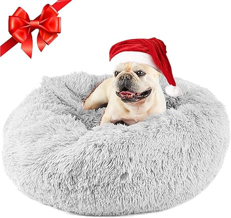 Dog Beds for Small Dogs, Donut Dog Bed with Blanket Attached, Calming Dog