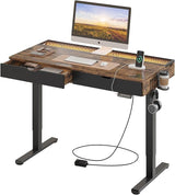 LED Electric Standing Gaming Desk with Double Drawers,47x23 Inch Standing Desk