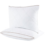 Natural Goose Feathers and Down Pillow - Queen Size Set of 2, Medium Firm Pillow