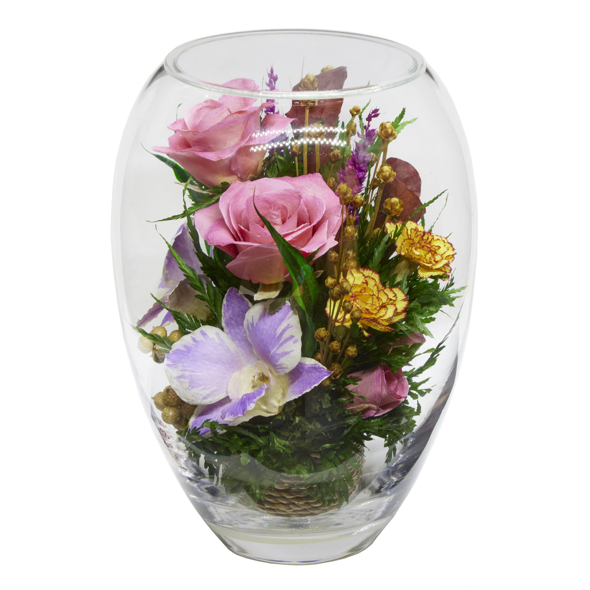 Orchid Arrangement | Preserved Orchids in Glass Vase | Long-Lasting Flowers