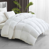 Maple&Stone Feather Down Comforter Queen Size All Season White Down Duvet Insert Ultra Soft 100% Cotton Cover Fluffy Queen Comforter 90 x 90 Inches