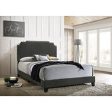 Tamarac Upholstered Queen Bed with Nailhead Grey