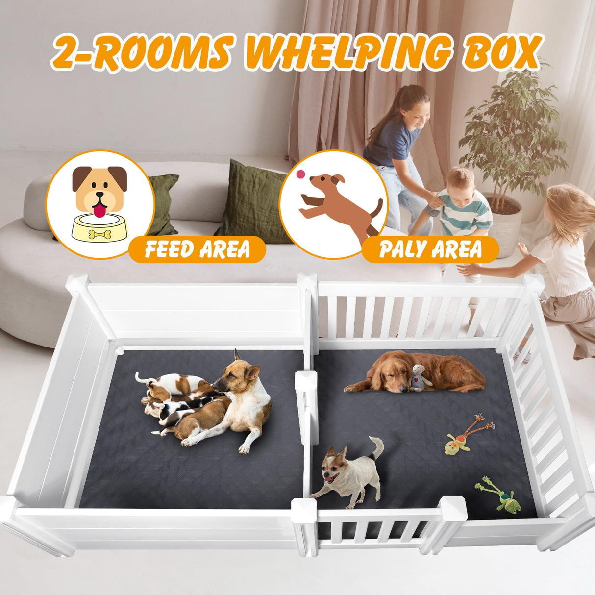 Whelping Box for Dogs - 2 Room Design with Pig Rails