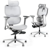 Ergonomic Office Chair with Footrest and Dynamic Lumbar Support