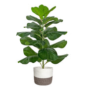 Artificial Fiddle Leaf Fig Tree/Faux Ficus Lyrata for Home Office Decoration,