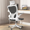 Office Chair - Ergonomic Office Chair with Lumbar Support