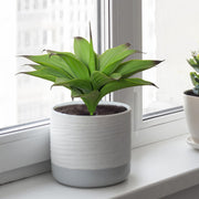 Fake Plants Artificial Agave Plants,Large UV Resistant Fake Agave