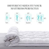 3 Inch White Down Mattress Topper - Queen Size White Feather