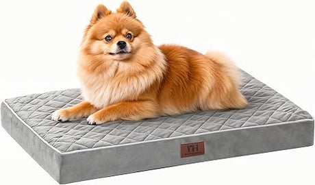 Orthopedic Dog Beds for Large Dogs with Removable Washable Cover