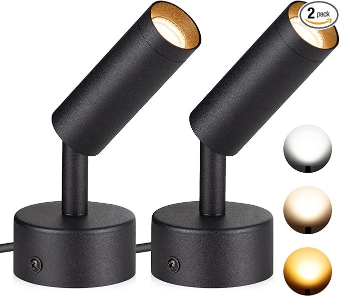 2 Pack LED Spot Lights 3000K/4000K/5000K Adjustable Dimmable Floor Spotlight