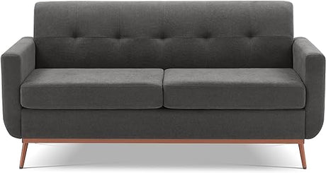 65" Loveseat Sofa, Mid Century Modern Love Seat Couches for Living Room,