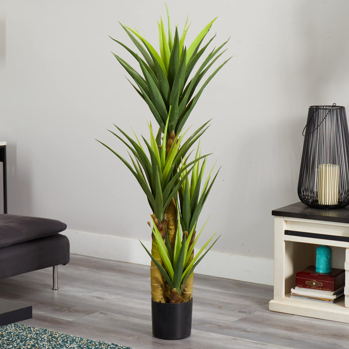 6343 4.5' Dracaena Plant, Green