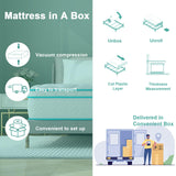 Queen Mattress, Medium Firm Hybrid Mattress with Premium Foam and Wrapped Pocket