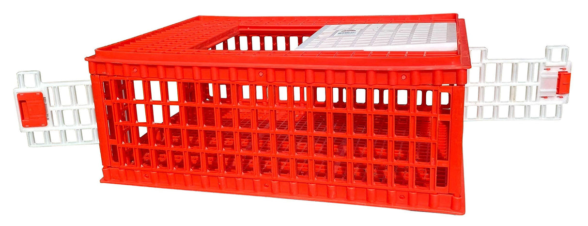 Poultry Carrier Crate (Pack of 1) 29" L x 22" W x 12" H for Chickens