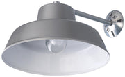 All Weather Outdoor Wall & Ceiling Light - Grey Finish with Clear Glass Globe