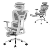 Ergonomic Office Chair, High Back Ergonomic Desk Chair with Adjustable Lumbar Support