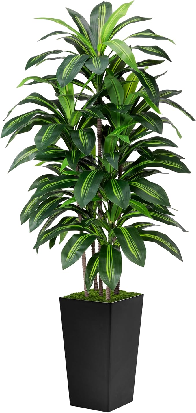 Artificial Dracaena Plant Indoor 5FT - Fake Tree with White Tall Planter