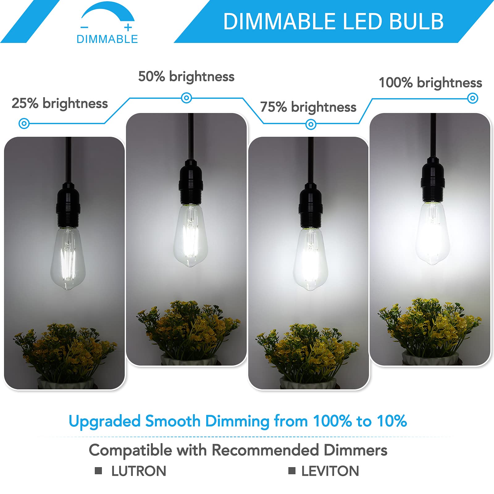 12-Pack Dimmable Vintage LED Edison Bulb 60W Equivalent, 6W 850Lumens