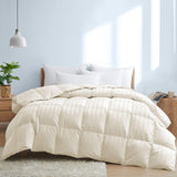 Premium 1000 Thread Count Queen Size 1 Piece Comforter (500GSM Fiber Fill)
