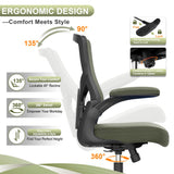 High Back Ergonomic Office Chair with Lumbar Support