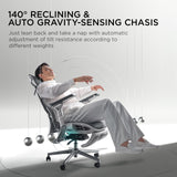 E3 Pro Ergonomic Office Chair - Big & Tall with 3-Zone Lumbar Support