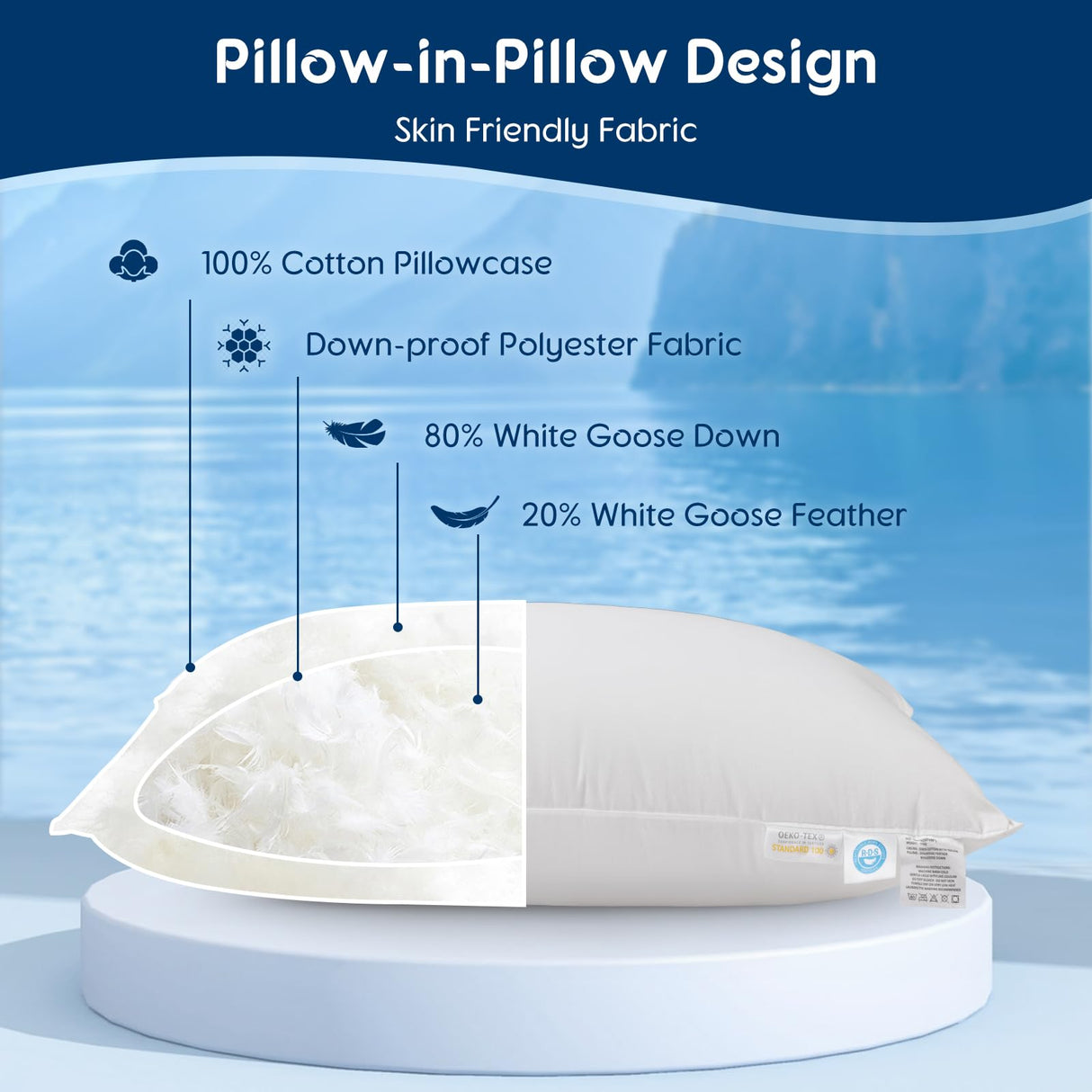 LBRO2M Canada Goose Down Pillow 900 Fill Power 80% Goose Down 20% Goose Feather 100% Cotton Pillowcase Queen Down Pillows Ideal for Plush Comfort and Support (20"X30" Set of 2)