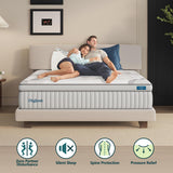 Queen Mattresses, DIGLANT 14 Inch Plush Hybrid Mattress, Queen Size Memory Foam