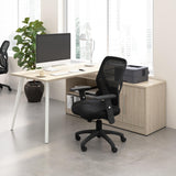 L Shaped Computer Desk 60 inch with Credenza, PC Table and Low Storage Cabinet