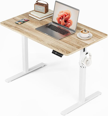 Electric Standing Desk Height Adjustable Desk, 55 X 24 Inches Sit Stand up Desk