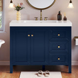 42 Inch Bathroom Vanity with Sink Combo, Modern Bathroom Storage Cabinet