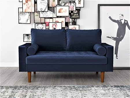 Womble 58 Inch Velvet Loveseat Sofa with Elegant Button Tufted Upholstery, Square Arms,