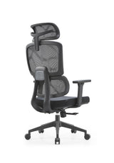 Premium Mesh Executive Home Office Desk Chair, with Ergonomic Lumbar, Black