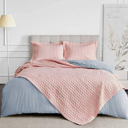 Quilt Sets Queen Pink Lightweight Bedspread Full Soft Reversible Coverlet for All Season