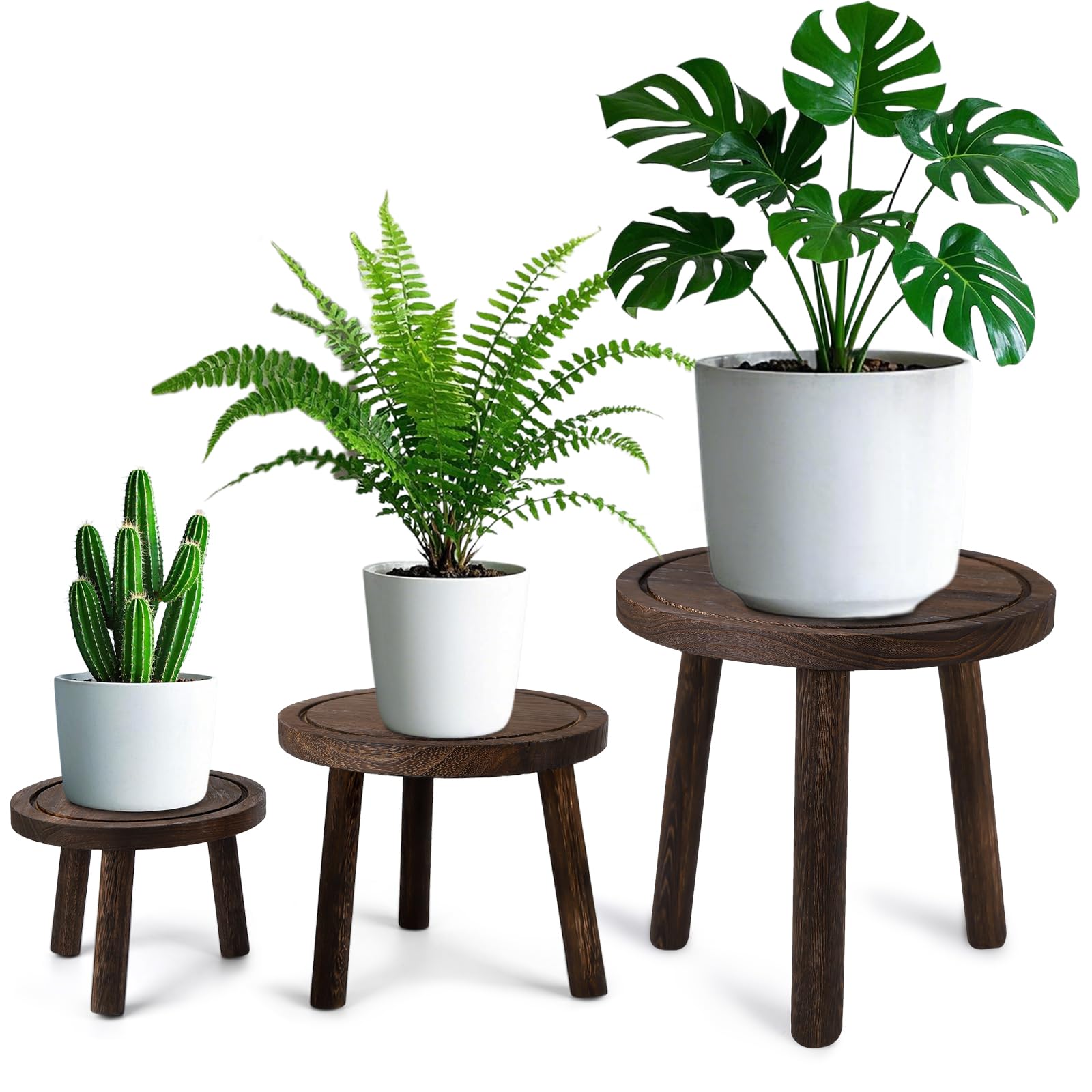 3-Pack Wood Plant Stands Indoor, Single Plant Stand for 6-12 Inch Pots