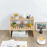 Natural Bamboo Indoor Plant Stand for Desk, 2 Tier Desktop Shelf Organizer Rack