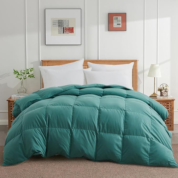 Queen Size Down Comforter - All Season Ultra Soft Goose Down & Feather Fiber Fill