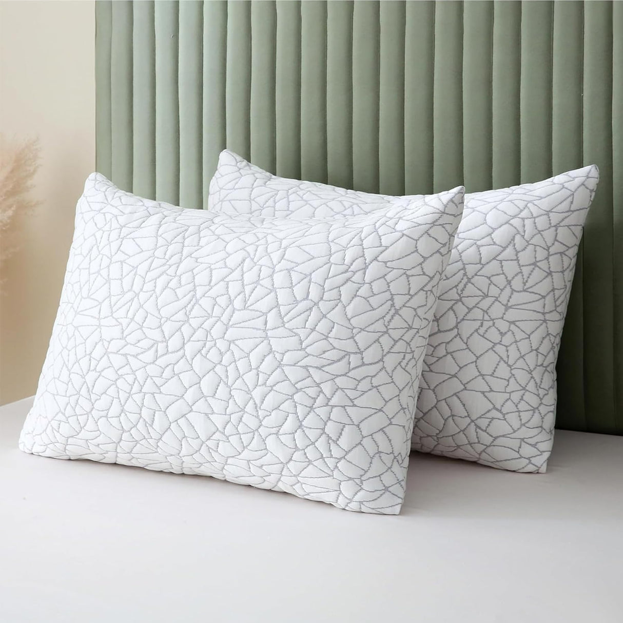 Rayon Derived from Bamboo Pillows King Size Set of 2