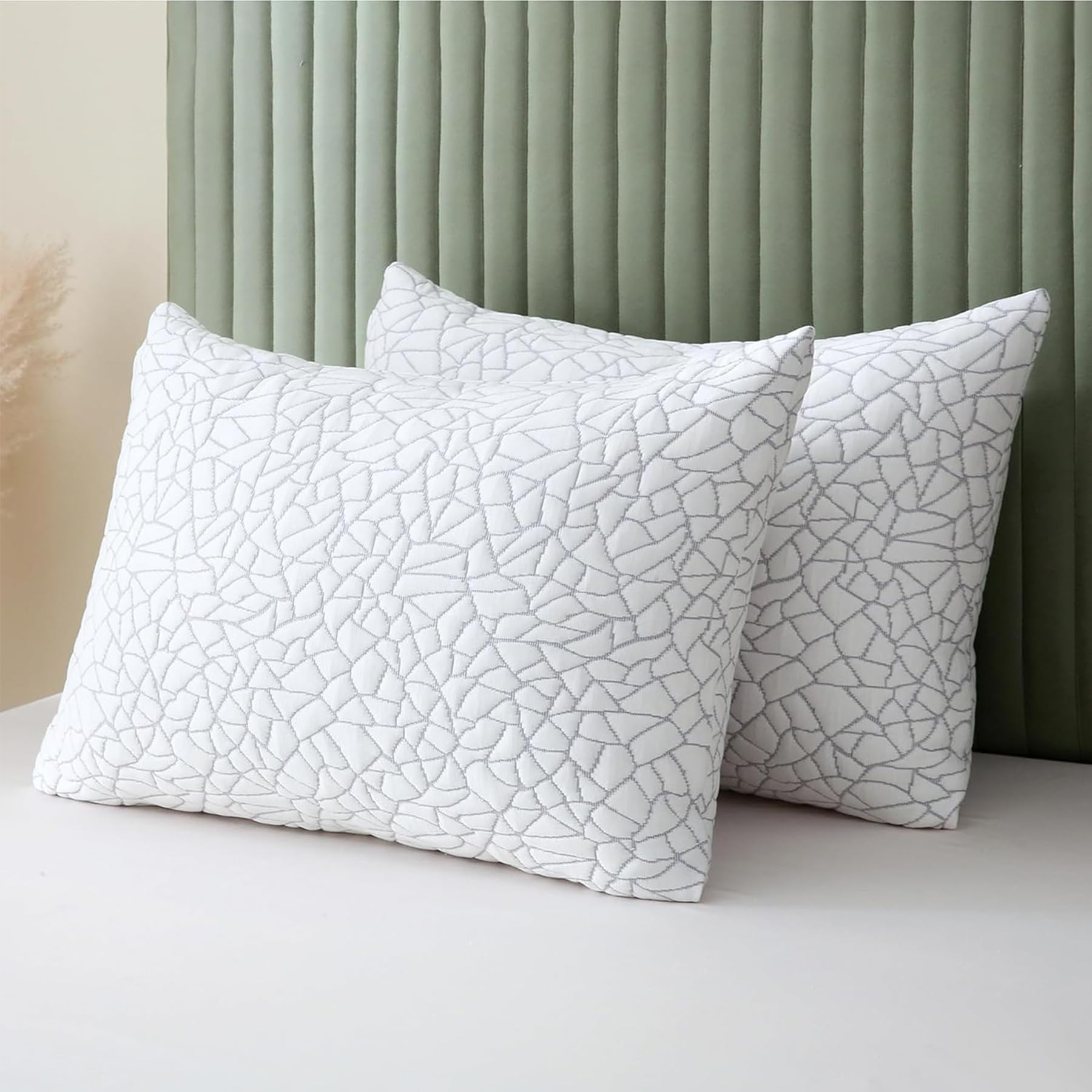 Rayon Derived from Bamboo Pillows King Size Set of 2
