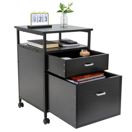 Mobile File Cabinet, Rolling Printer Stand with Open Storage Shelf, 2 Drawers