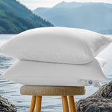 REDASW Canada Goose Down Bed Pillows 900 Fill Power Sleep Pillows with Soft 600 Thread Count 100% Cotton Pillowcase Bed Pillows for Any Sleepers (White, Queen (Pack of 2))
