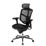 Quantum 9000 Series Ergonomic Mesh High-Back Executive Office Chair, Black, BIFMA