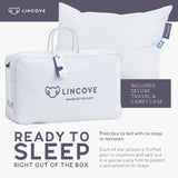 Cloud Natural Canadian White Down Luxury Sleeping Pillow - 625 Fill Power