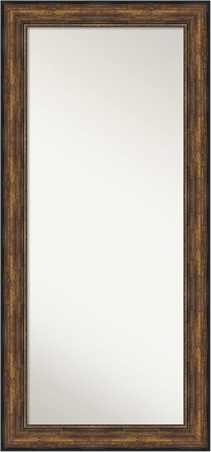 Amanti Art Wall Mirror Full Length Mirror (66.5 x 30.5 in.) Full Body Mirror,