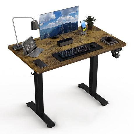 40 * 24 Electric Standing Desk, Adjustable Height Sit Stand Up Desk, Motorized Home Office Computer Gaming Workstation Desk