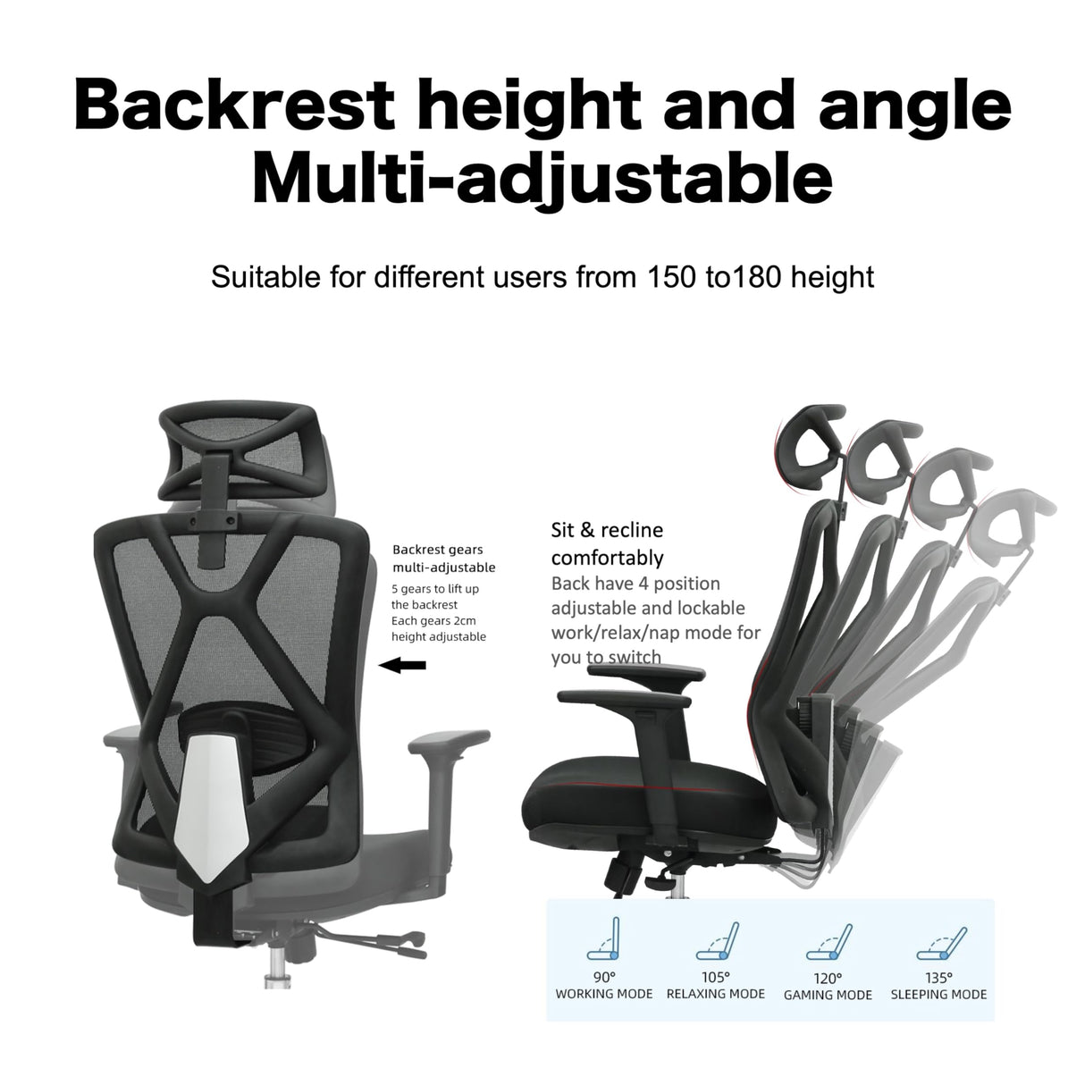 & Domo B31 Ergonomic Office Chair with 3 Way Armrests Lumbar Support and Adjustable